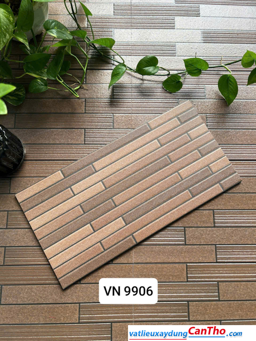 Việt Nhật VN 9906